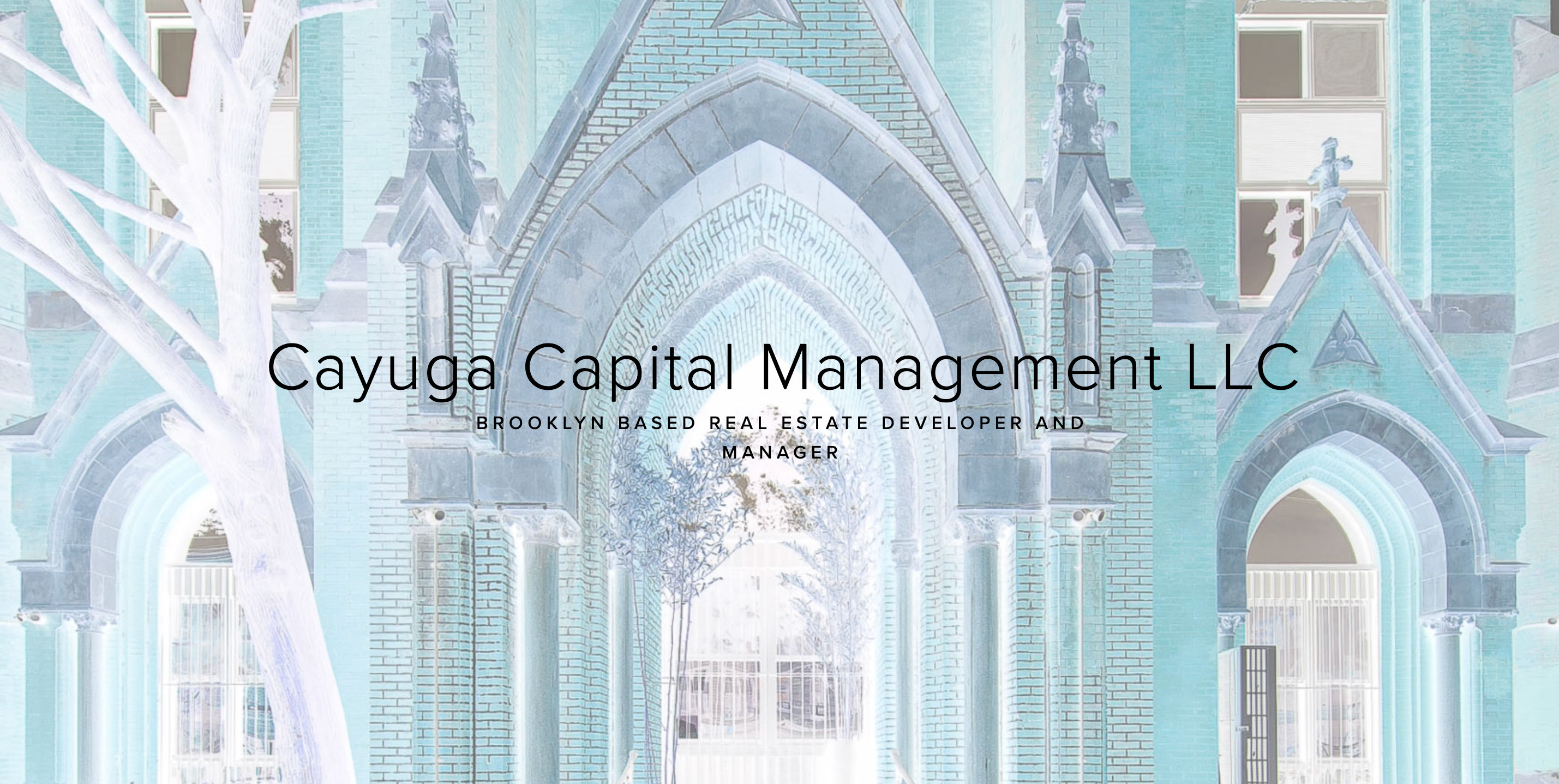 Cayuga/CCM Portfolio Outreach